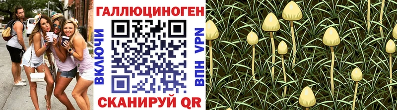 Галлюциногенные грибы GOLDEN TEACHER  Курлово 